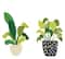 Diamond Dotz® House Plants Iron-On 'n' Dot Kit